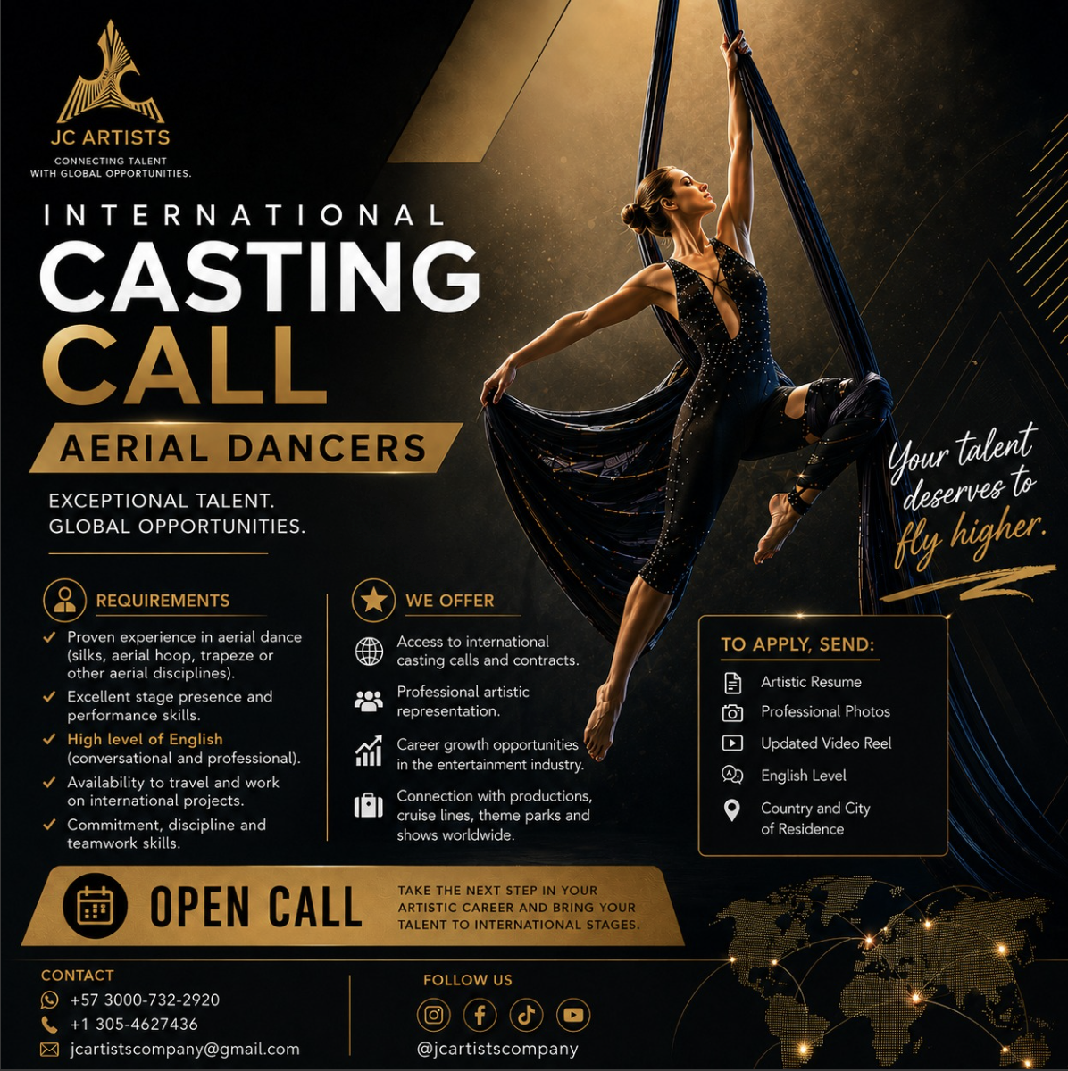 Aerial Performers (silks, hoop, lyra, others)